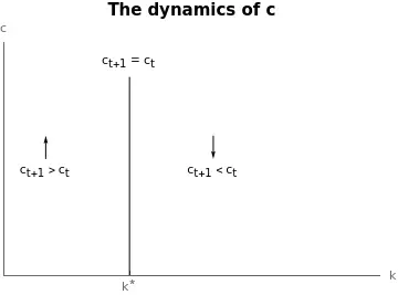 dynamics of c